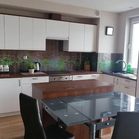 Apartment Komfortowy Dla Turystow I Pracownikow *